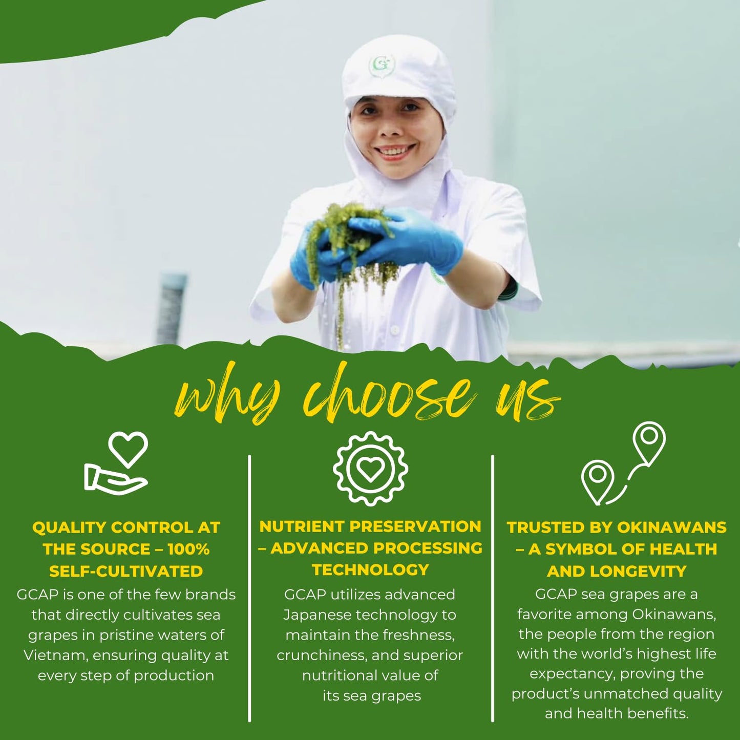 Gcap Sea Grapes - Dehydrated Umibudo Seaweed | Vegan Green Caviar Superfood From Vietnam | Immune & Skin Support | 100G X 5 Pack