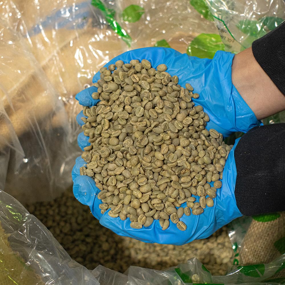 Fresh Roasted Coffee, Unroasted Organic Mexican, Kosher, 5 Pound