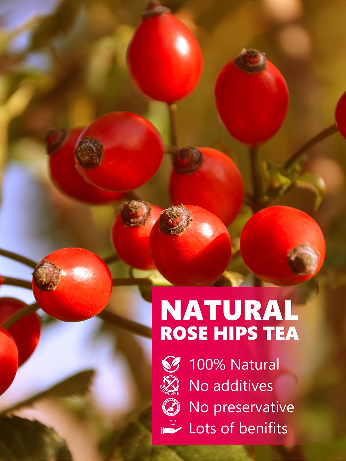 Teelux Rose Hips Tea, Premium Rosehip Herbal Tea, Dried Whole Rose Hips, Fruity Flavor And Aroma, 150G/5.3Oz