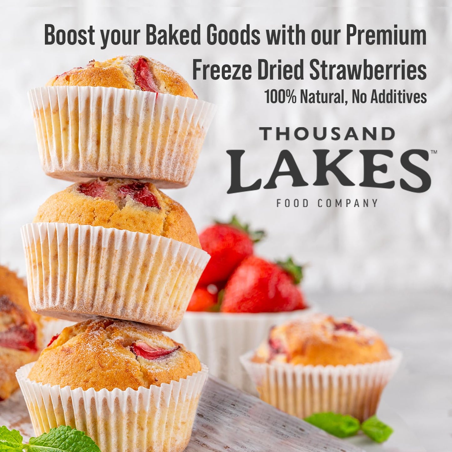 Thousand Lakes Freeze Dried Fruit - Strawberries 1.2 Ounces | No Sugar Added | 100% Sliced Strawberries