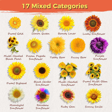 PLANTMEW Sunflower Seeds - 3,000+ Non-GMO Bulk Mix, Giant M th & 17+ Heirloom Varieties, High Germination, Easy to Grow