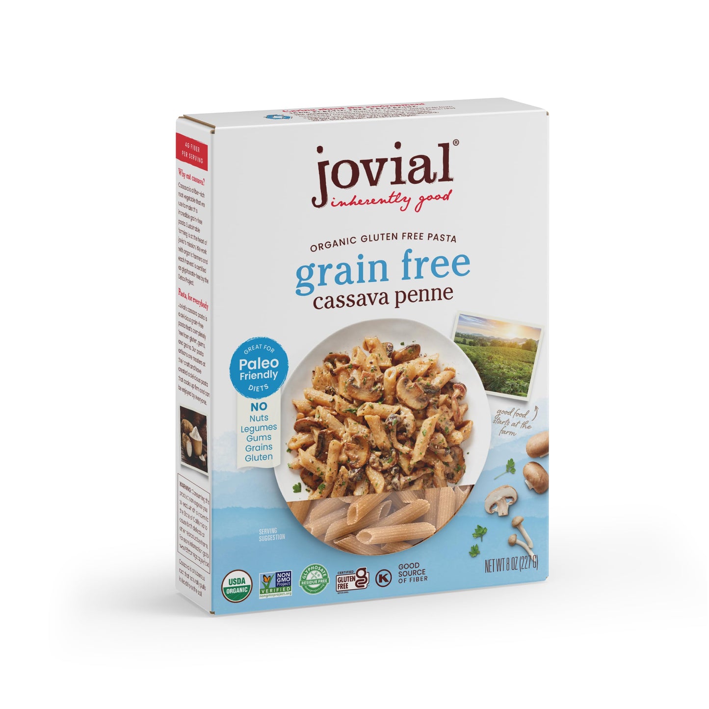 Jovial Grain-Free Cassava Penne Rigate - Penne Pasta Noodles Cassava Pasta Penne Pasta Organic Paleo Pasta Certified Gluten-Free Usda Certified Organic Non-Gmo High-Fiber - 8 Oz 1 Pack