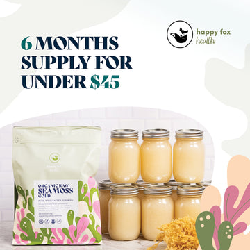 Happy Fox Sea Moss Raw Organic For Organic Seamoss Gel Makes 170Oz Of Dr Sebi Sea Moss Gel - Certified Non-Gmo, Wildcrated Organ