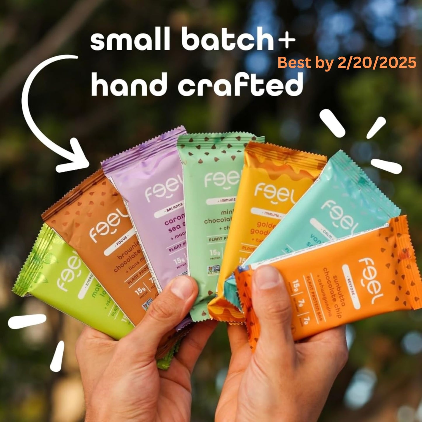 Feel Vegan Protein Bars - Keto, Gluten Free, Organic, 15g Protein - Dairy Free, Low Sugar - Variety Pack (6 Flavors, 6 Pack)