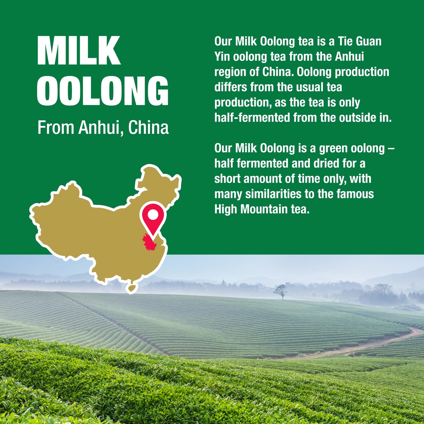 Tiesta Tea - Milk Oolong Tea | Single Origin Premium Loose Leaf Oolong Tea From China | 100% Pure Unblended Medium Caffeinated T