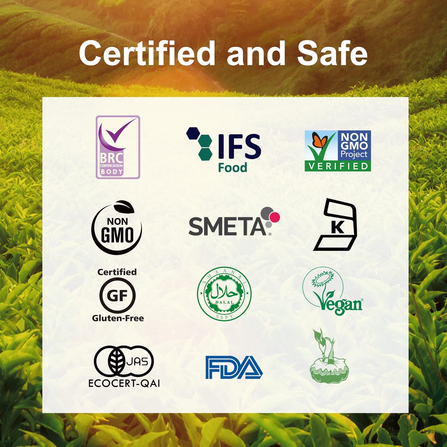 Hethstia Konjac Noodles, 10 Packs Shirataki Noodle Fettuccine, 56.5Oz Keto Konjac Food Fettuccine Shape - Low Carb, Sugar-Free,