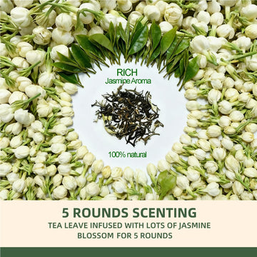 Tetwin Jasmine Green Tea Loose Leaf In Pla Tea Bags, 10Ct Samplers In Mini Tin –Smooth Jasmin Aroma & Gift-Ready, Party Favor
