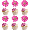 24Pcs Daisy Cupcake Toppers Flower Cake Topper Decorations Daisy Cake Decorations Chrysanthemum Cupcake Toppers Spring Daisy Flo