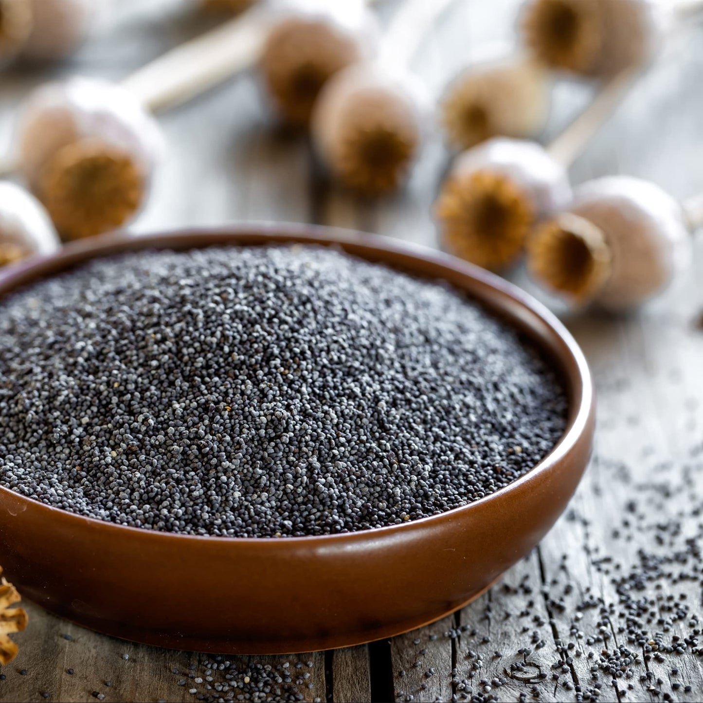 Frontier Co-Op Whole Poppy Seeds, Bulk 1lb Bag - Black Poppy Seeds for Baking, Cooking, Salad Dressing - Certified Kosher, Non-I