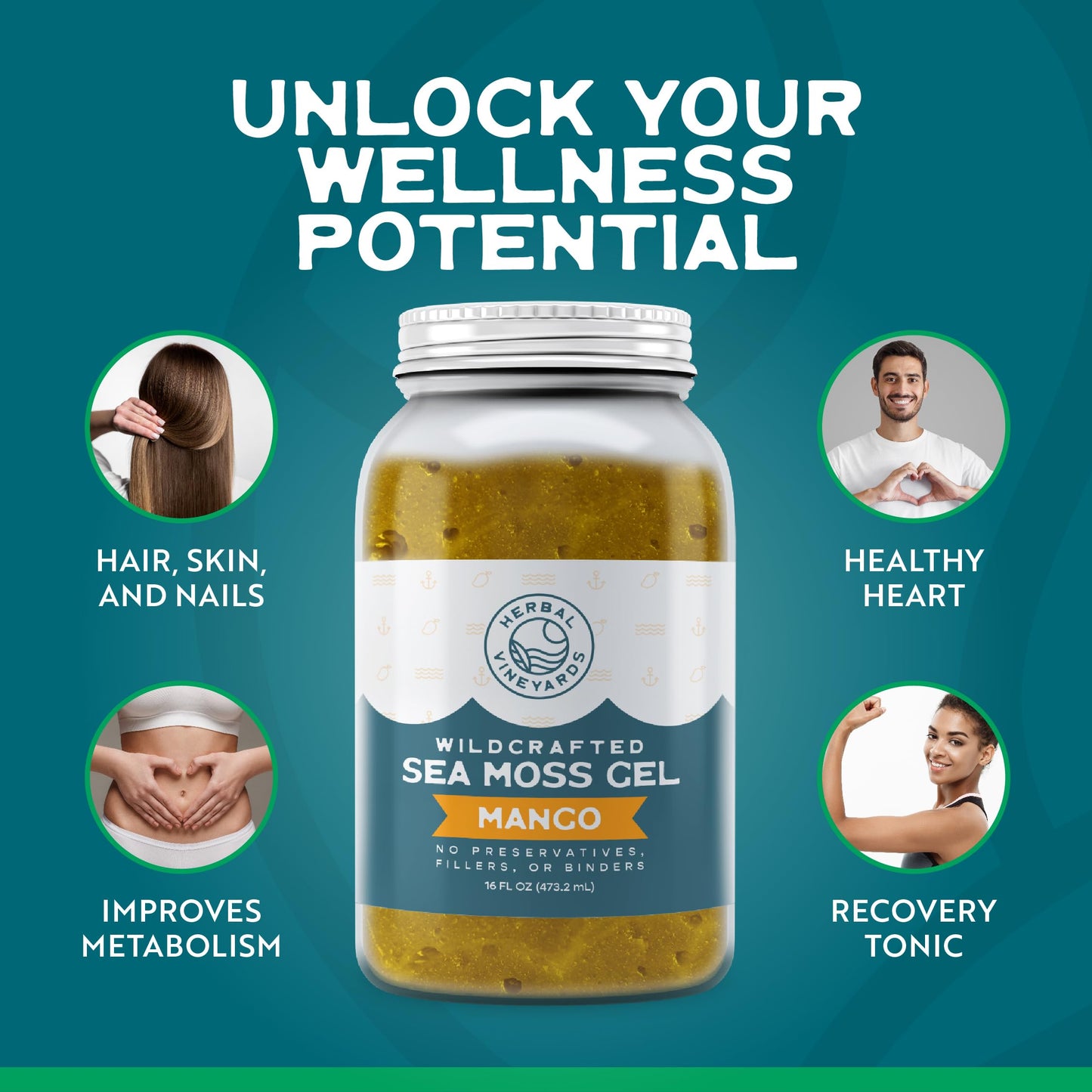 Herbal Vineyards Wildcrafted Irish Mango Sea Moss Gel 16 Oz - Organic Seamoss Gel Made With Dried Seaweed & Fresh Sea Vegetables