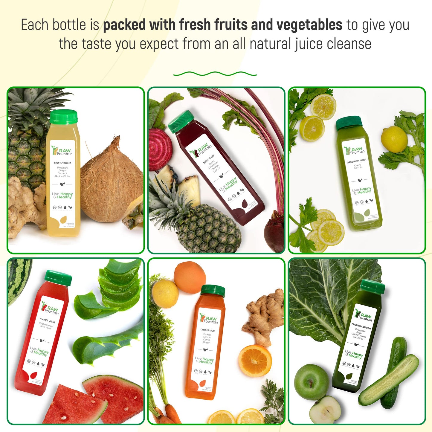 Raw Fountain 1 Day Juice Cleanse, Tropical Flavors, All Natural Raw, Cold Pressed Fruit And Vegetable Juices, Detox Cleanse, 6 B