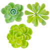 Global Sugar Art Succulent Mixed Assortment Sugar Cake Flowers, 3 Count By Chef Alan Tetreault