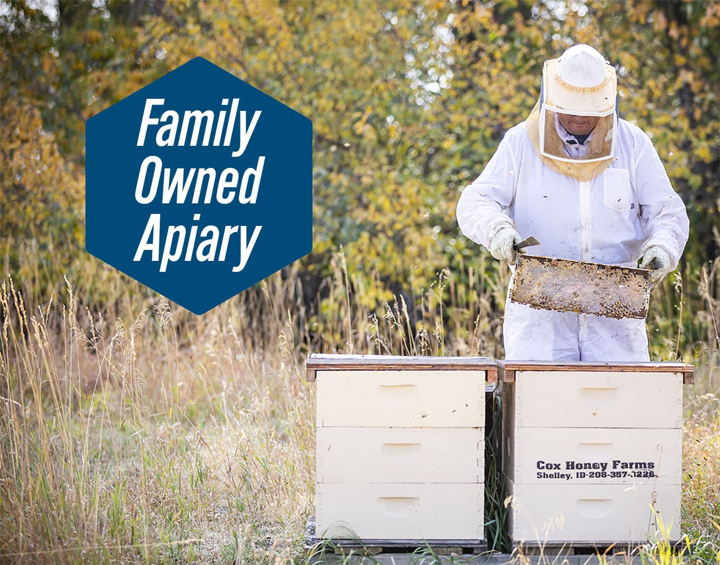 Cox s Honey - Bulk Creamed Whipped Honey Raw Unfiltered | 100% Pure Clover Delicious Honey - Product of the USA (12 lbs)