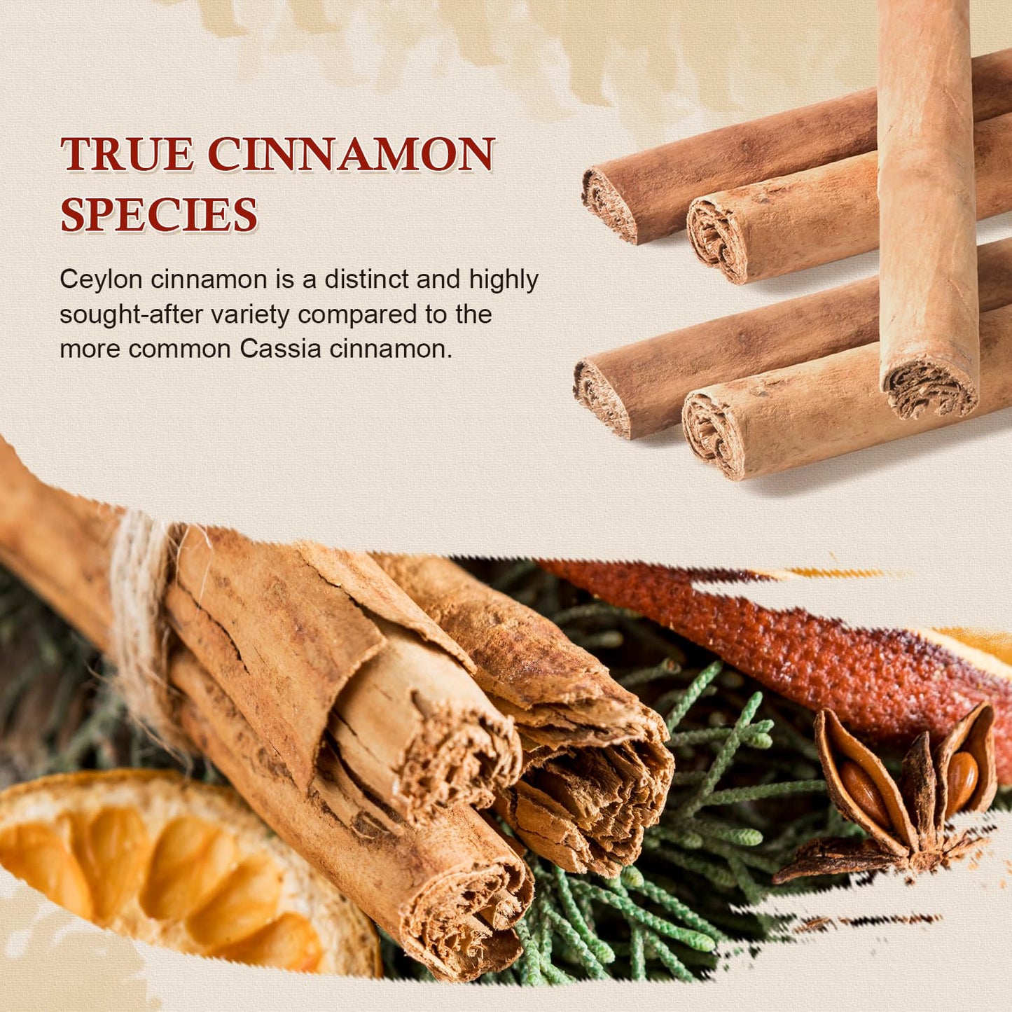 52USA Organic Ceylon Cinnamon Sticks, Whole Cinnamon Sticks, 1 Ounce, Vegan, Non-GMO, True Cinnamon from Sri Lanka