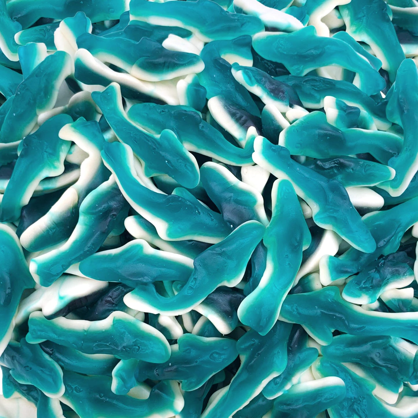 Blue Sharks Raspberry Marshmallow Gummy Candy (1 Pound Bag)