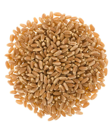 Certified Glyphosate Residue Free Hard Red Winter Wheat Berries | 1 Lbs | Family Farmed In Washington State | Non-Gmo Project Ve