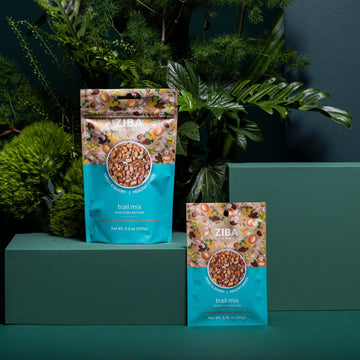 Ziba Foods Trail Mix - Sweet Apricot Kernels, Mulberries, Raisins, Almonds & Pistachios - Non-GMO, Vegan, Whole 30 Friendly & Pa