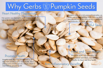 Jumbo Sized Lightly Sea Salted Pumpkin Seeds In Shell By Gerbs - 4 Lbs - Top 11 Food Allergen Free & Non Gmo - Premium Giant Size Whole Roasted Pepitas – Cog Usa