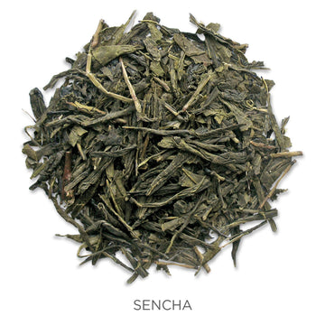 Tea Forte Organic Green Tea, Makes 35-50 Cups, 2.82 Ounce Loose Leaf Tea Canister, Sencha