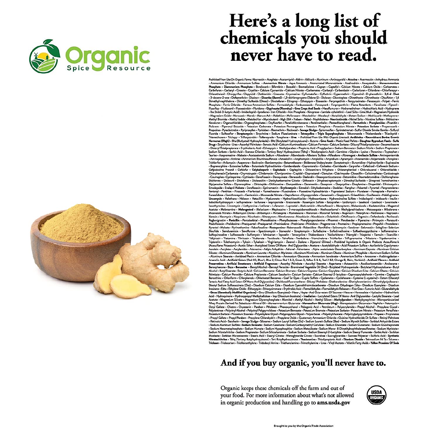 Organic Spice Resource Organic Ginger Powder, 8 oz - USDA Organic, Non-GMO, 100% Raw, Resealable Kraft Bag, Product of India