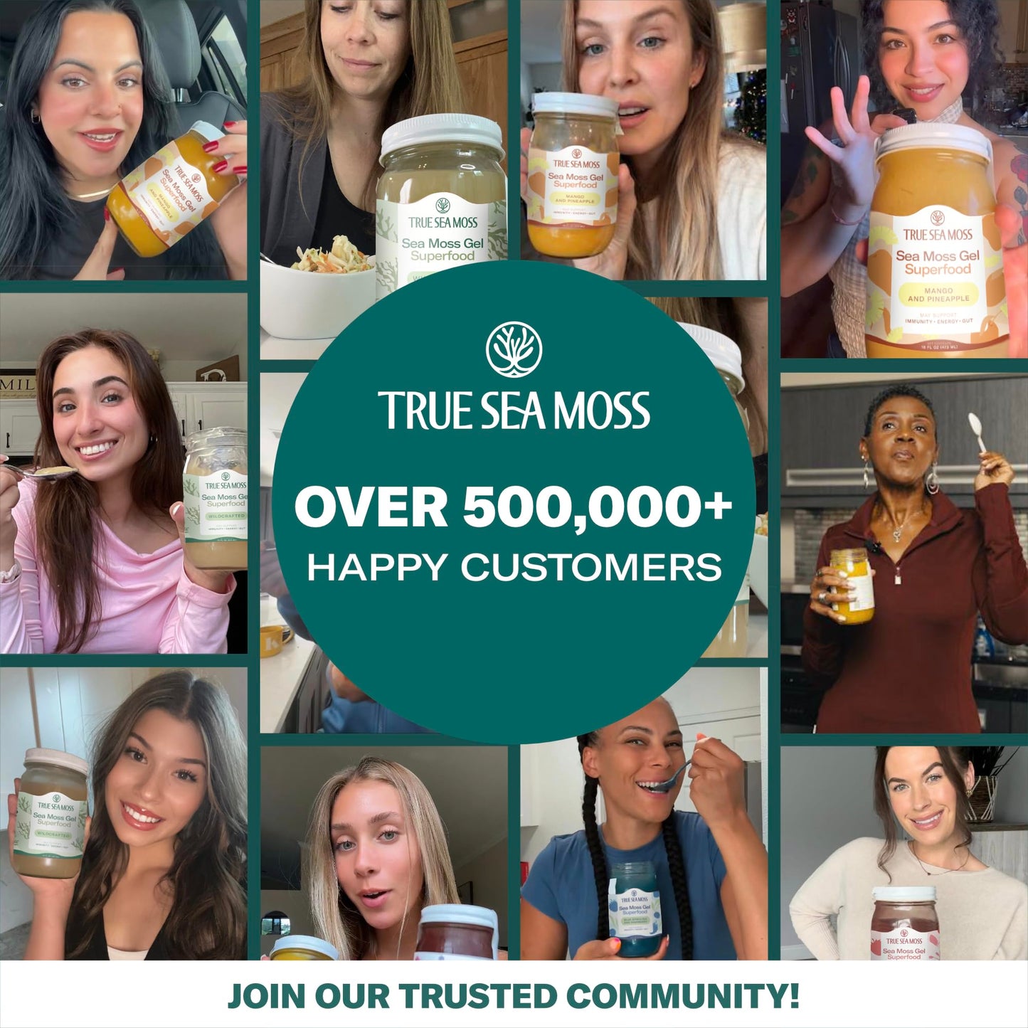 TrueSeaMoss Sea Moss Gel - Made in USA - Wildcrafted Seamoss Fresh Fruits & Jarred Vegetables - Strawberry Pack of 2 (Labels may Vary)