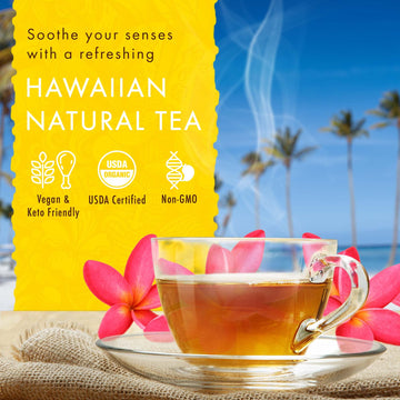 Hawaiian Natural Tea Pineapple Strawberry Flavored Organic Tea - Tropical Fruit Green Tea Blend With White Tea - Perfect Daily C