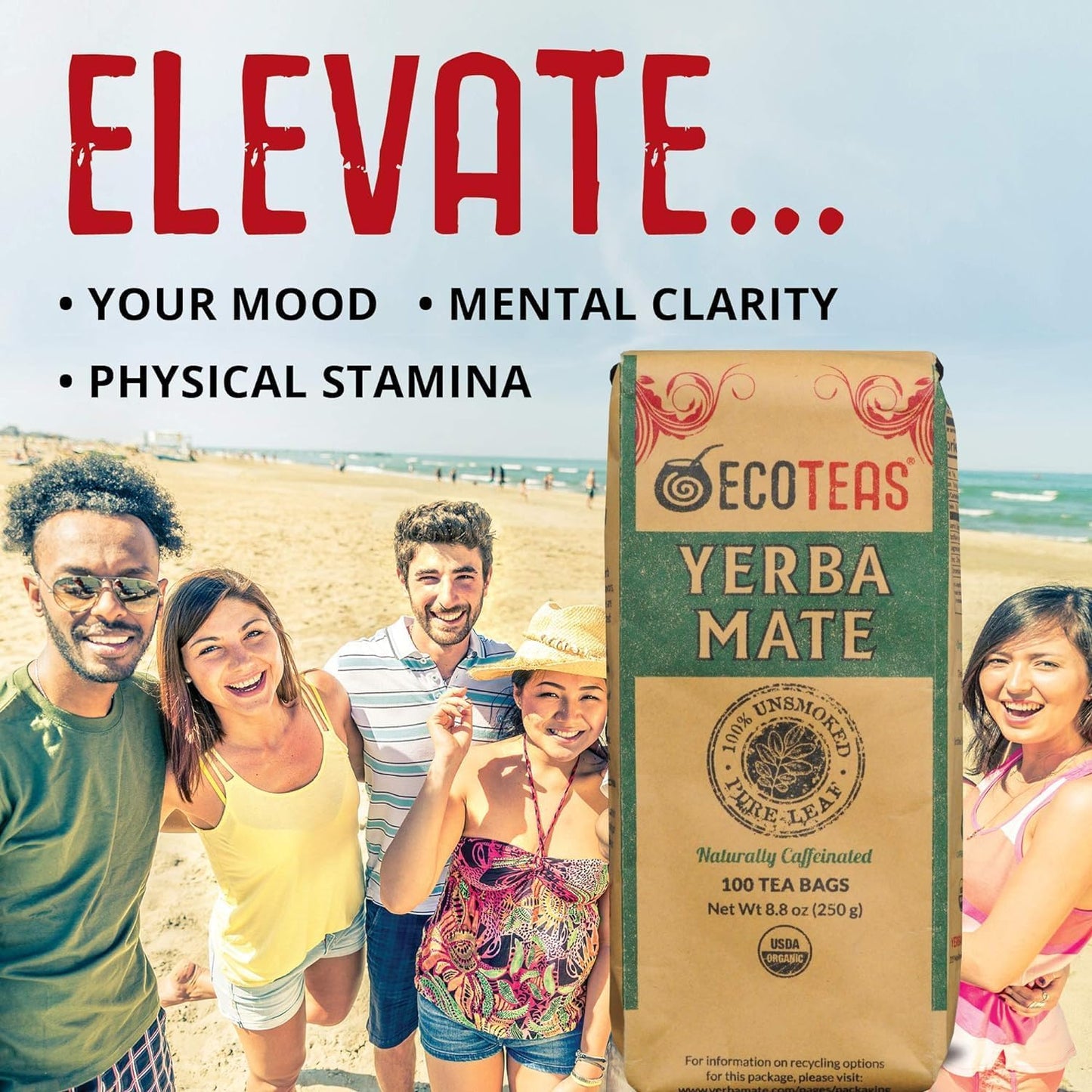 ECOTEAS Yerba Mate Tea Bags - Organic Unsmoked Detox Tea - 100 Bags, 8.8 oz (2 Pack)