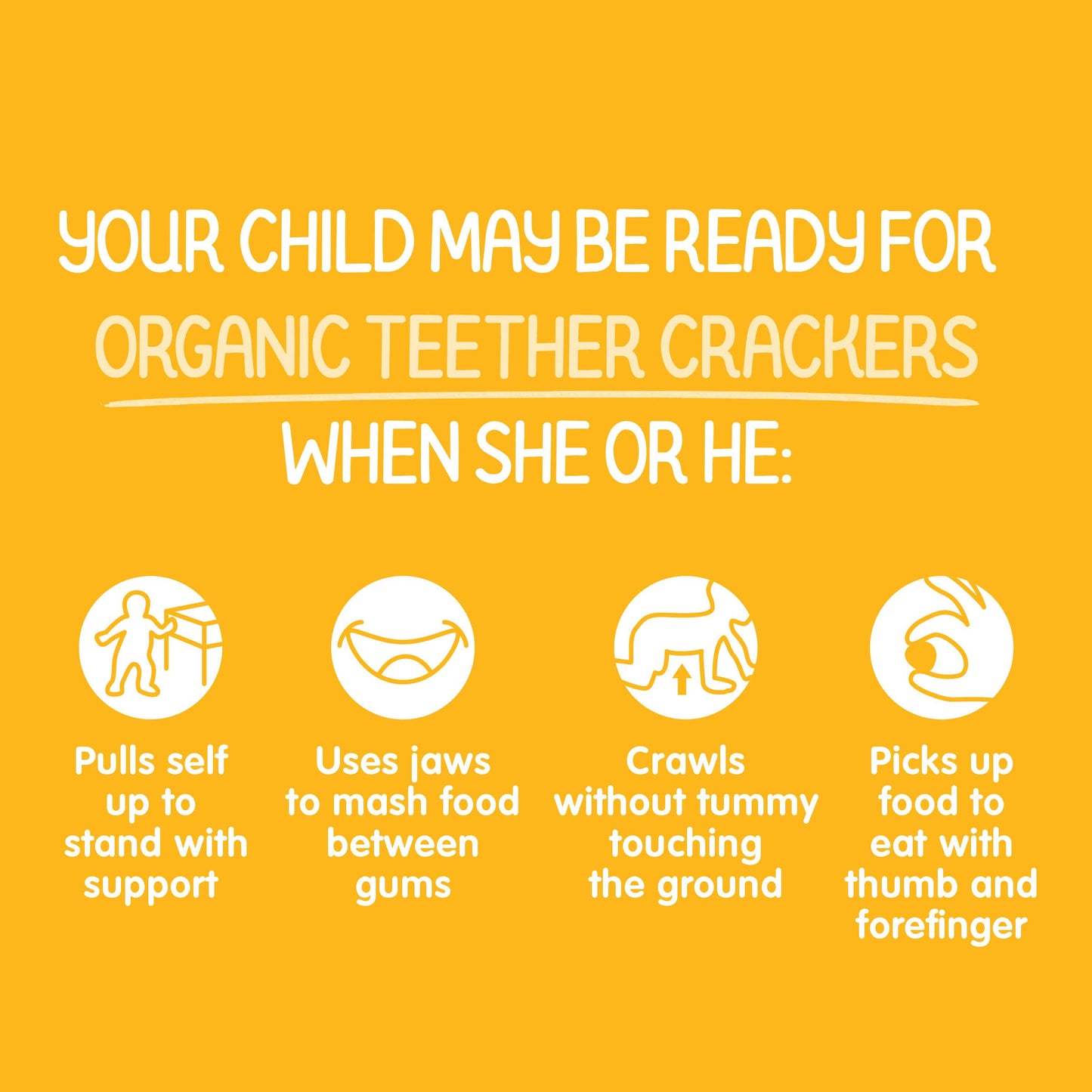 Happy Baby Organics Baby Snacks, Gentle Teething Crackers, Gluten Free & Vegan, Mango & Pumpkin, 12 Count (Pack Of 6)