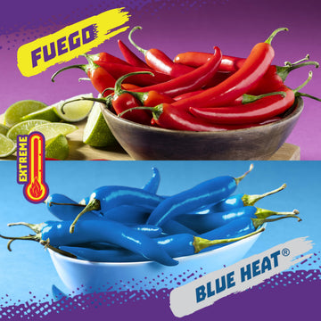 Takis 40 pc / 1 oz Variety Pack - Fuego & Blue Heat Flavored Rolled Tortilla Chips - (20) Fuego, (20) Blue Heat - Perfect for Ta