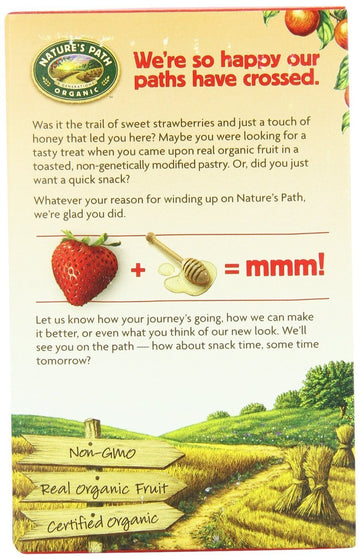 Natures Path Tstr Pastry Frstd Bry Str6