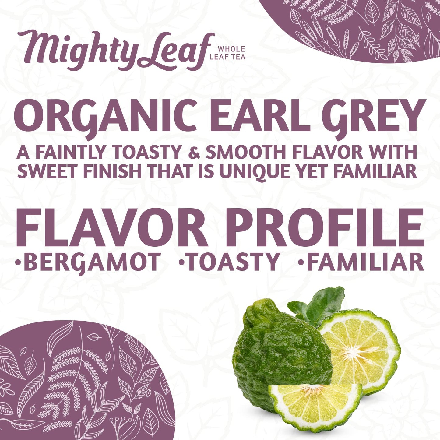 Mighty Leaf Organic Earl Grey Tea, 100 Tea Pouches, 100 Count