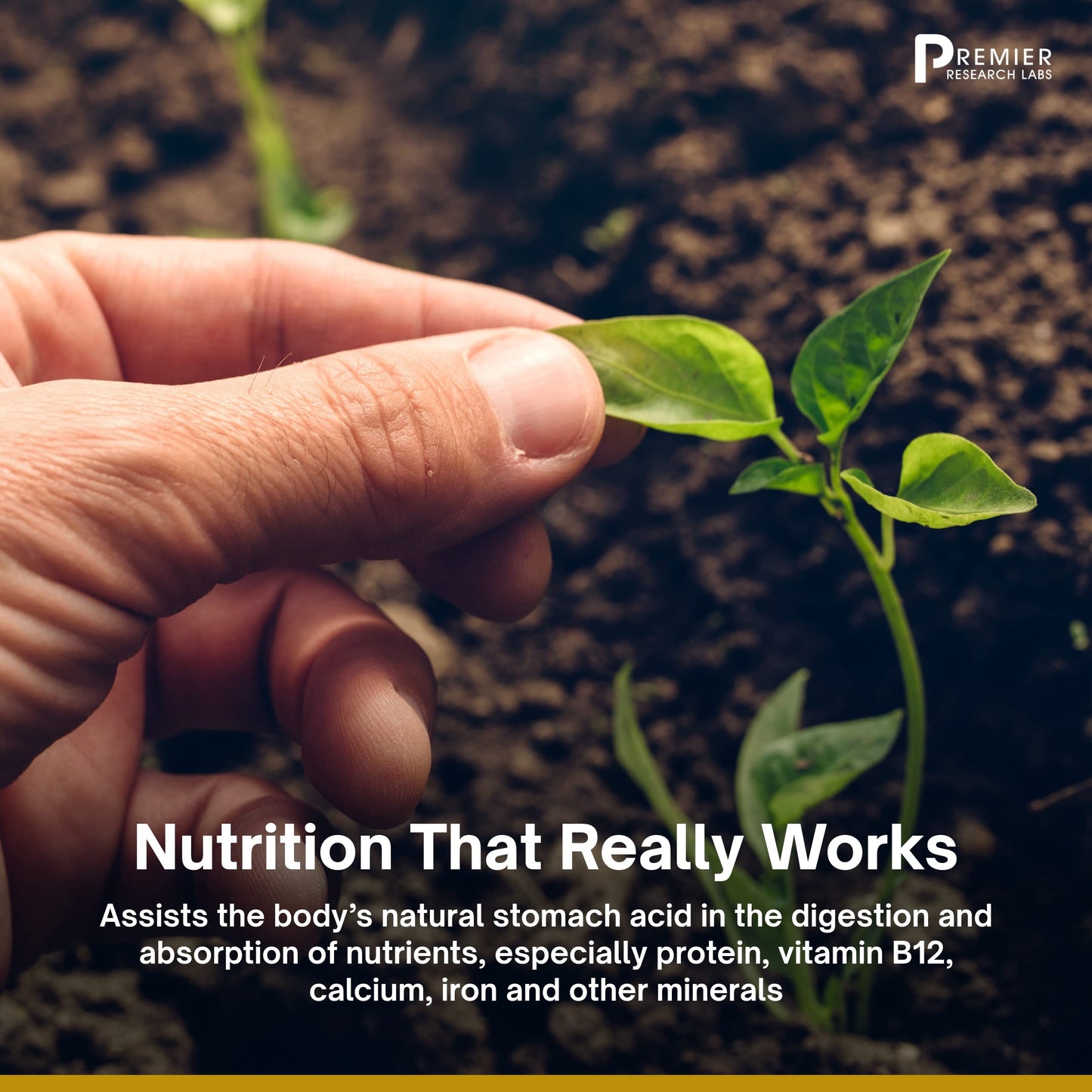 Premier Research Labs: 12 Oz Premier Pink Salt - Alaea Pink Hawaiian Sea Salt, Organic Himalayan Pink Salt And Australian Sea Sa