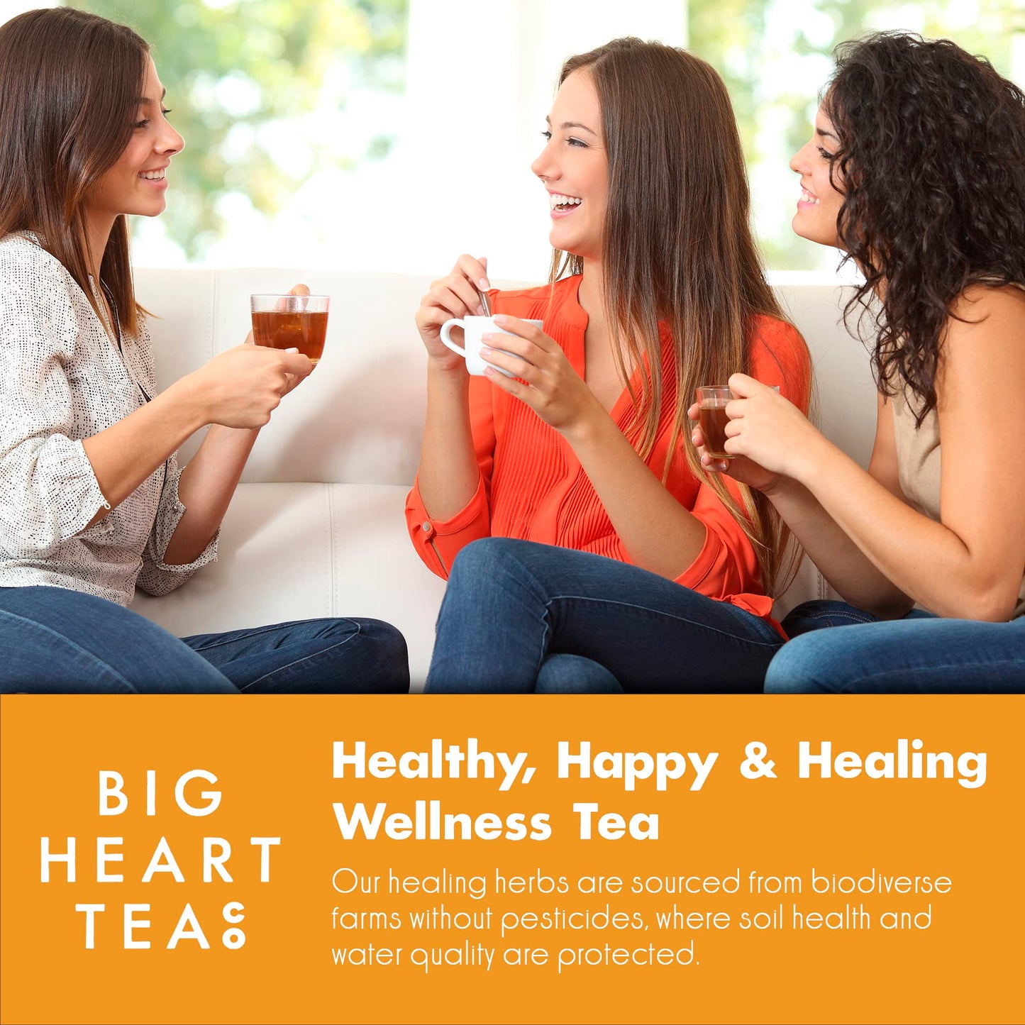 Big Heart Tea Co. Spicy Tea Bags Gift Set - Organic Herbal Tea Variety - 30 Bags - Zero Plastic Sachets