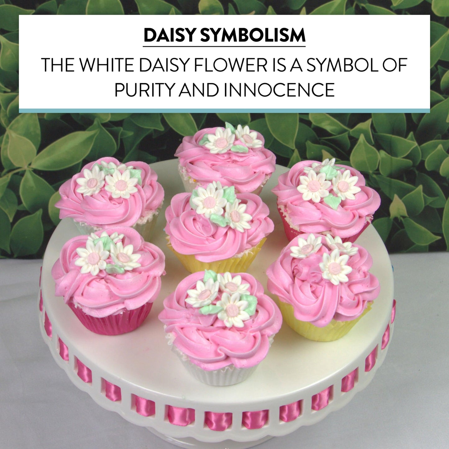 Global Sugar Art Daisy Sugar Cake Flowers, White Petals, Pink Centers Unwired, Small 36 Count by Chef Alan Tetreault