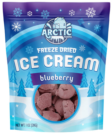 Arctic Farms Freeze Dried Ice Cream That Does Not Melt (Blueberry, 1 Ounce)