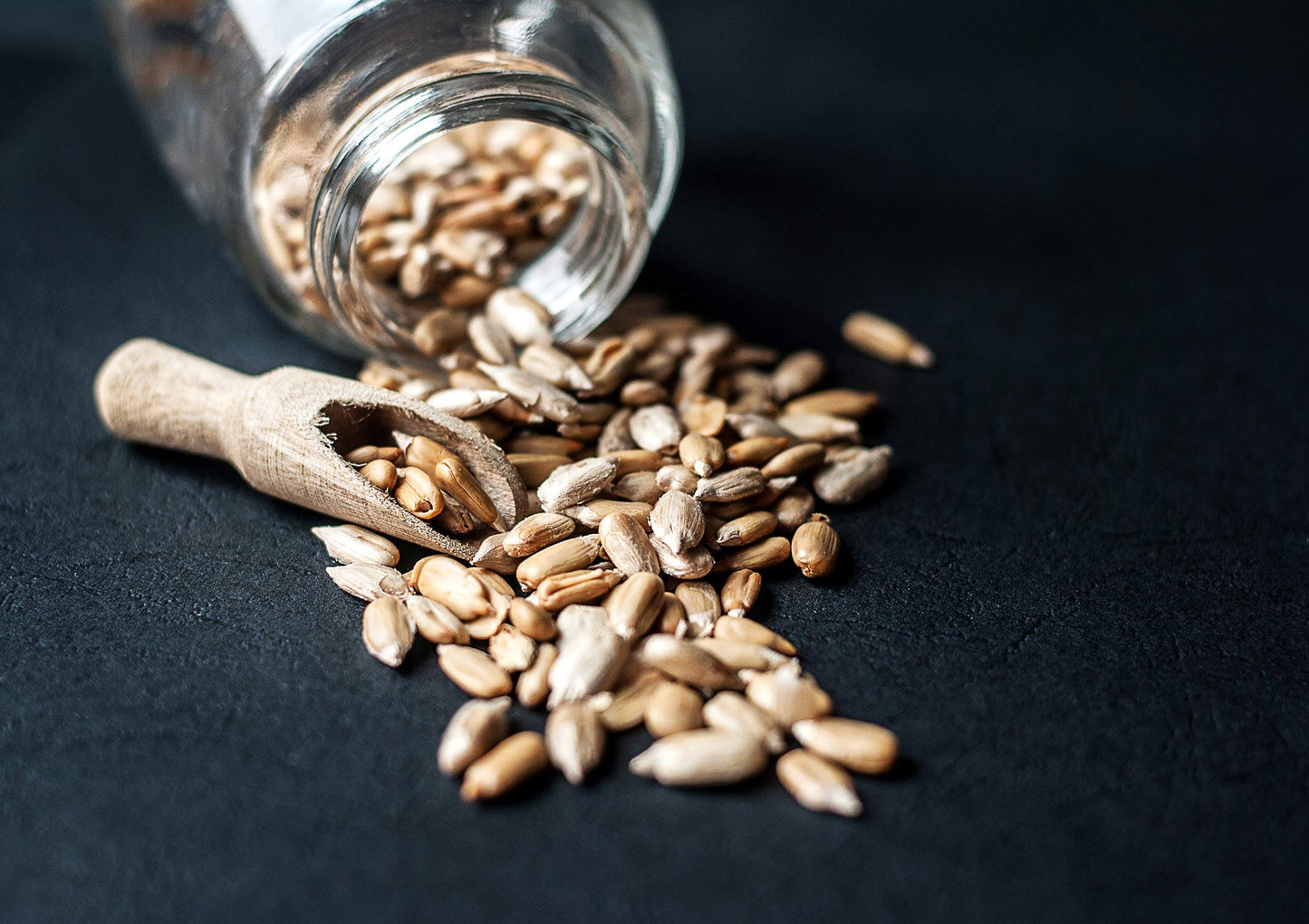 Food To Live - Organic Sunflower Seeds, 8 Pounds Hulled, Raw, Non-Gmo, Dried Kernels, Unsalted, Kosher, Vegan, Keto, Paleo, Sirtfood, Bulk, Good Source Of Protein