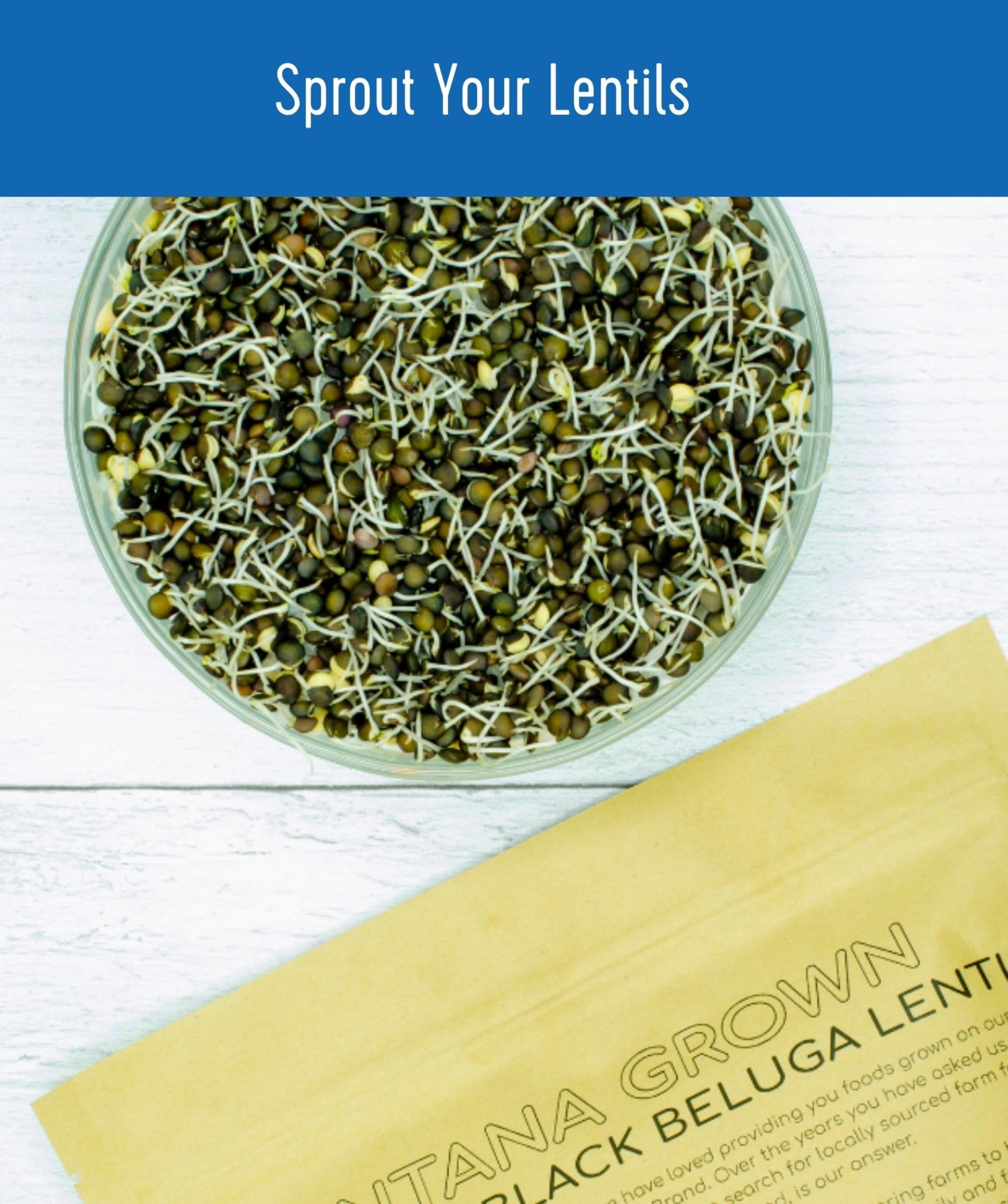 CLEAR CREEK Black Lentils, Non-GMO, Kosher, Vegan, 8 lbs (2-4 lb bags)