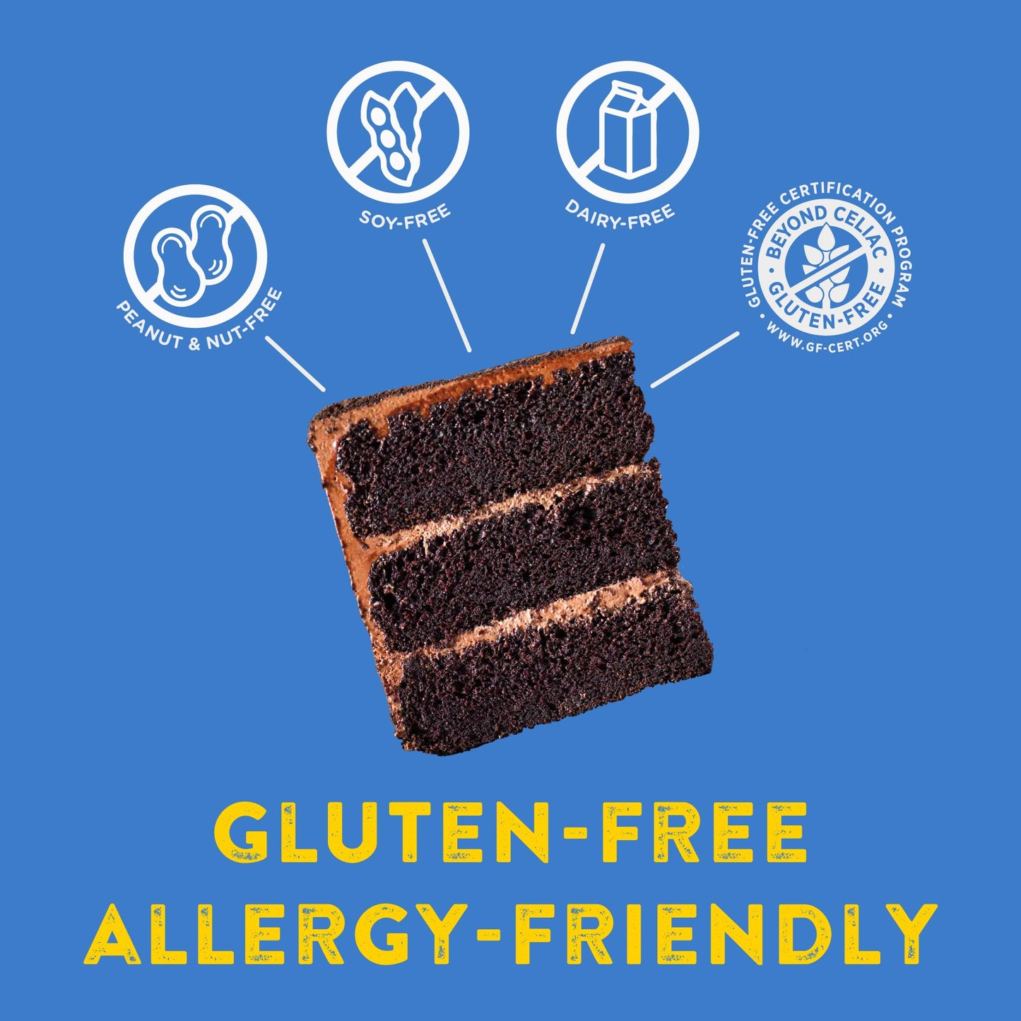 Kinnikinnick - Chocolate Cake Mix - Gluten Free, Allergy Friendly Cake Mix - 17.6 Oz. Box