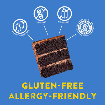 Kinnikinnick - Chocolate Cake Mix - Gluten Free, Allergy Friendly Cake Mix - 17.6 Oz. Box