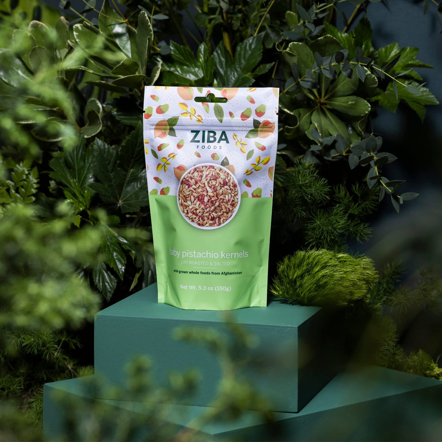 Ziba Foods Wild-Grown Baby Pistachio Kernels | Non-Gmo, Vegan, Gluten Free Snack, Nuts | Wild Grown, Dry Roasted & Salted | Heal