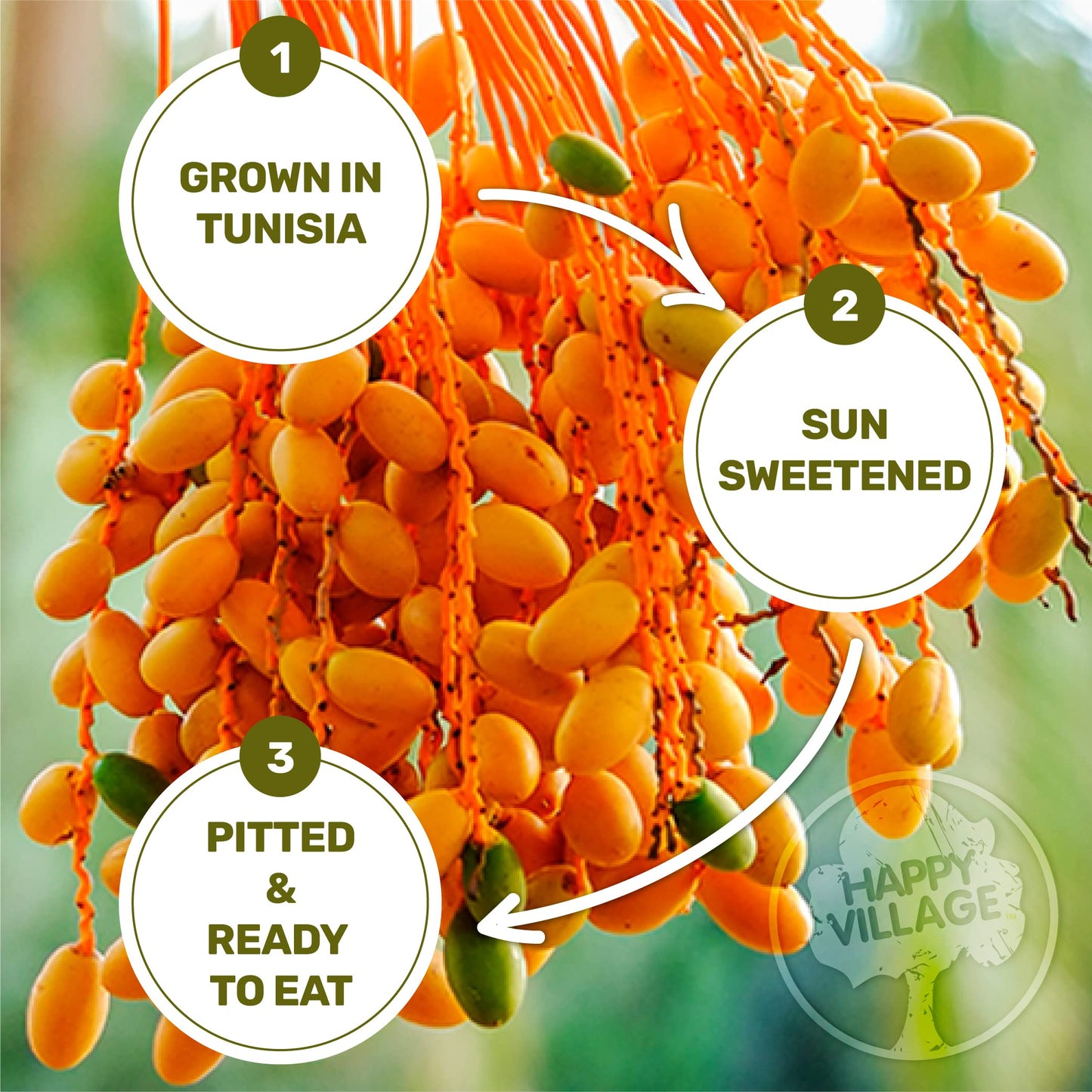 Happy Village Organic Pitted Dates, No Sugar Added, 40 OZ (2 Packs of 20 OZ), Kosher, Non-GMO, Vegan, Unsweetened