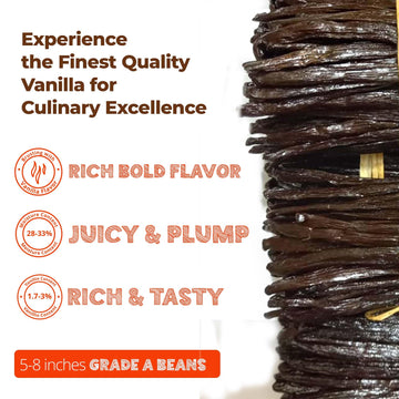 Akshit 2lb Vanilla Beans Grade A+ Bulk Whole Non-GMO for Baking, Desserts, and Homemade Extract