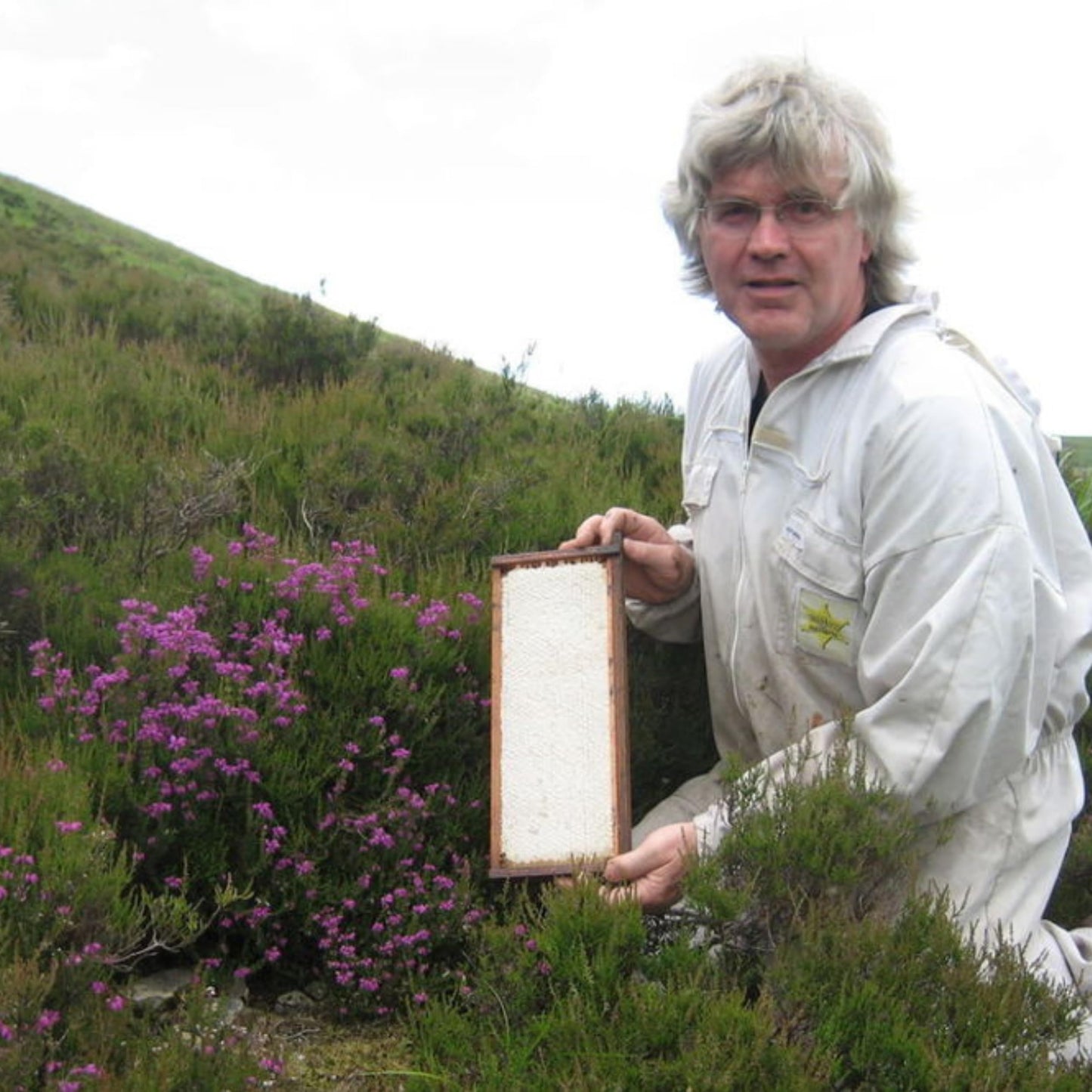 John Mellis Apiaries Scottish Honey, Scottish Heather Honey, 12 Ounce Jar