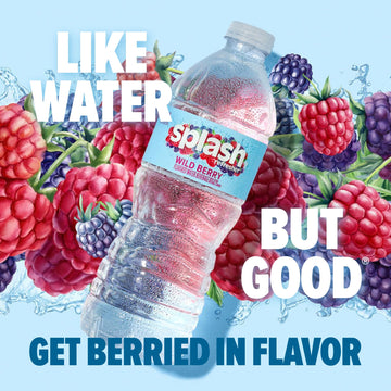 Splash Refresher Flavored Water Bottles, Wild Berry Flavor - 6-Pack, 16.9 Fl Oz - Refreshing Flavored Bottled Water with Electro