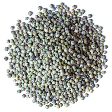 Food to Live Organic French Green Lentils, 5 Pounds - Non-GMO, Whole Dry Beans, Raw, Sproutable, Vegan, Kosher, Bulk. Rich in Fo