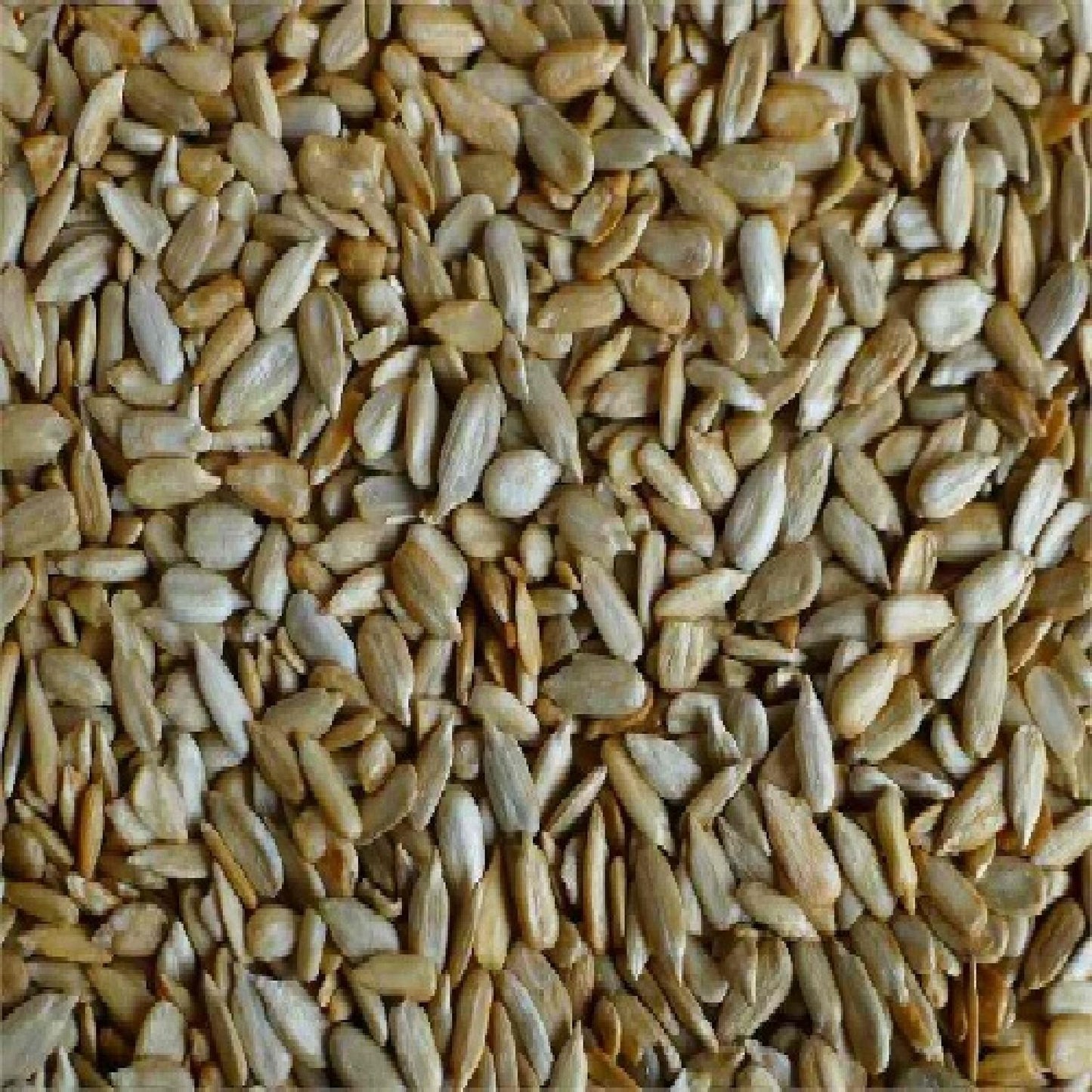 Woodstock Farms Organic Roasted Tamari Sunflower Seeds 1 Lb