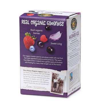 Nature'S Path Organic Toaster Pastries, Frosted Wildberry Acai, 6 Count