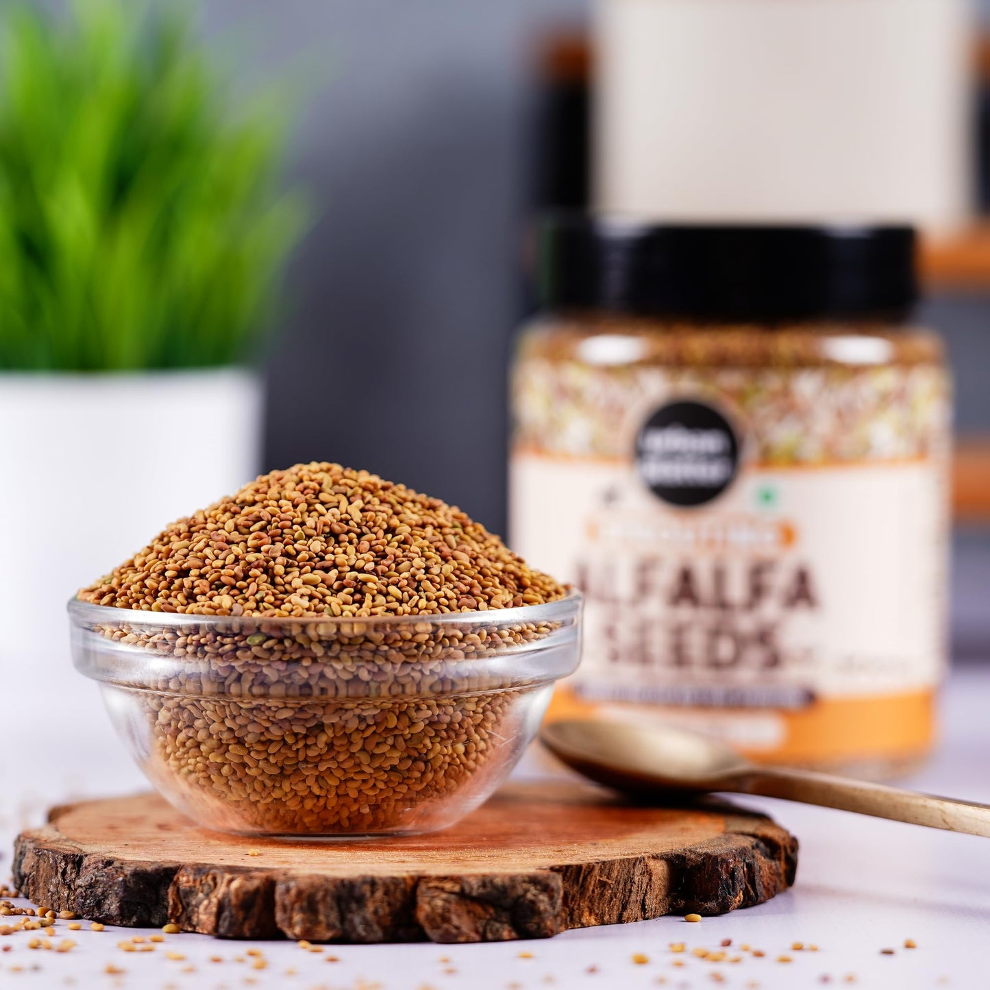 Urban Platter Alfalfa Sprouting Seeds | 250g | Non-GMO, Preservative-Free | Perfect for Salads, Smoothies, and Fresh Sprouts