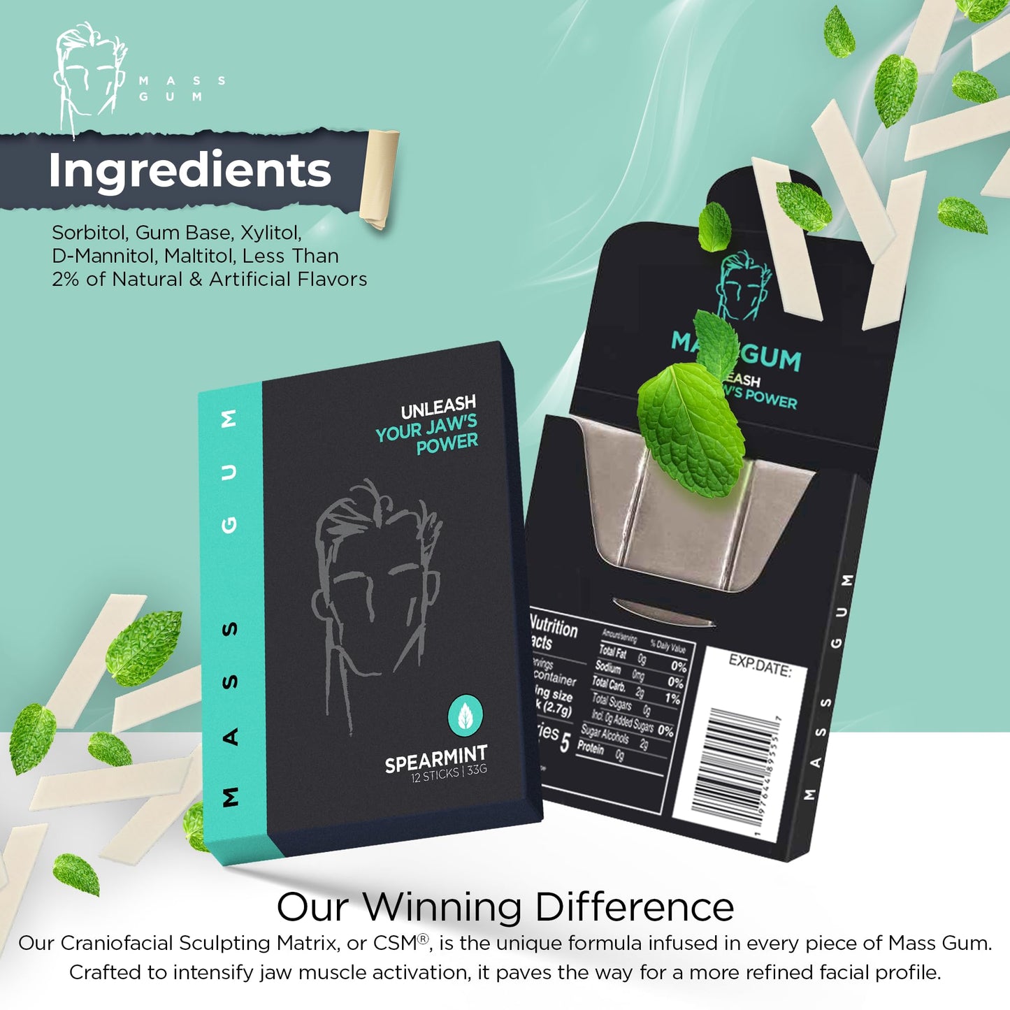 MASS GUM Tough Chewing Gum - Spearmint Flavor, Jawline Exerciser, 120 Pieces (10 Packs of 12) - Hard Chewing Gum for Strong Jawline