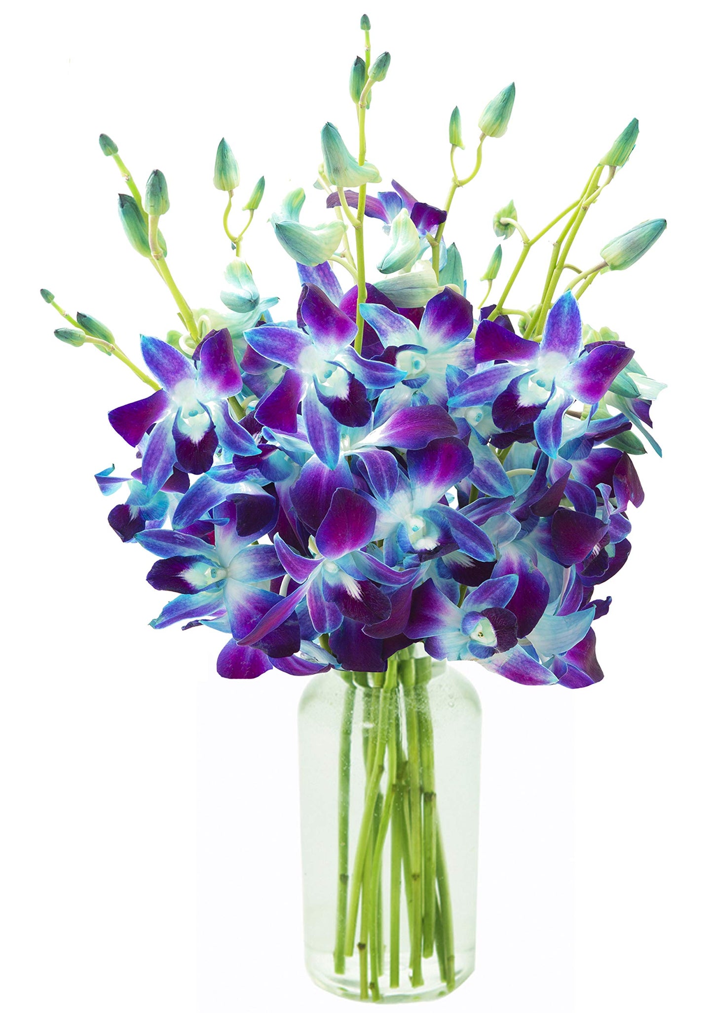 Kabloom Flowers - MotherS Day Collection - Exotic Sapphire Orchid Bouquet Of Blue Orchids From Thailand With Vase - Gift For Birthday Thank You Valentine Mothers Day Fresh Flowers